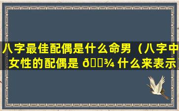 八字最佳配偶是什么命男（八字中女性的配偶是 🌾 什么来表示）